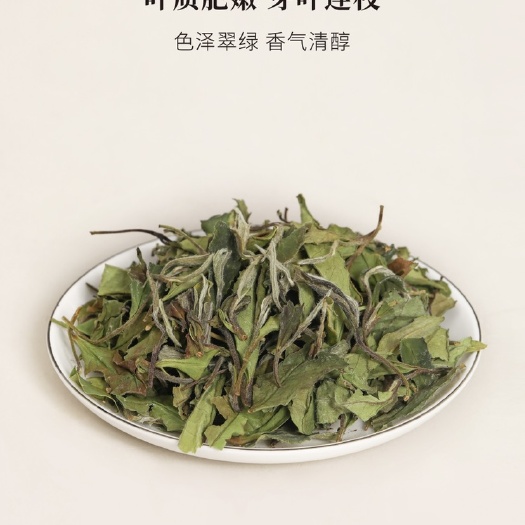 福鼎市福鼎白茶 春寿眉 2022年荒野白茶 茶礼