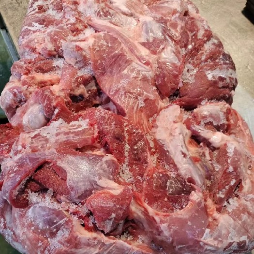母猪二号肉新货15吨新货