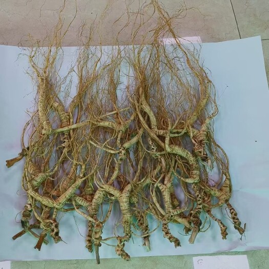 抚松县山参礼盒，经济实惠超实用