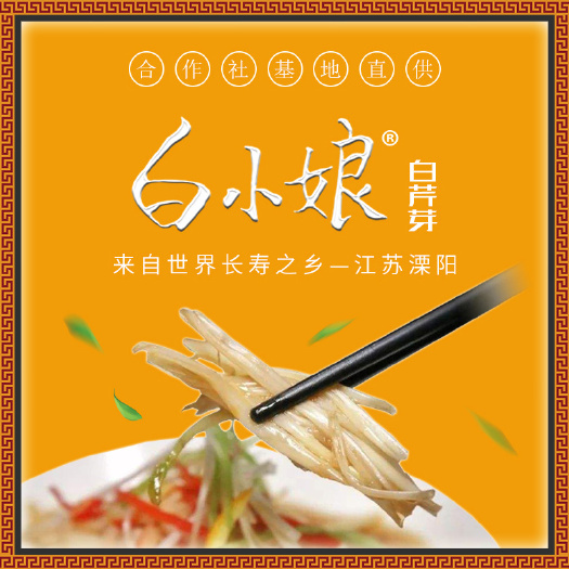 溧阳市白小娘白芹芽江苏溧阳特产