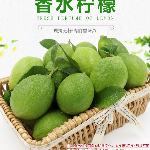 清远香水柠檬