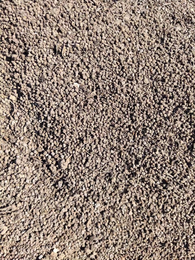 昌乐县蚕粪，蚕砂纯绿色有机肥高温发酵不烧根，可改良土壤，增肥增产。