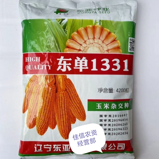 国审东亚东单1331玉米种子大棒抗旱耐涝抗盐碱适应性广