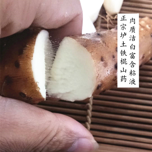 铁棍山药河南焦作温县垆土铁棍怀山药新鲜铁杆山药原产地怀庆府