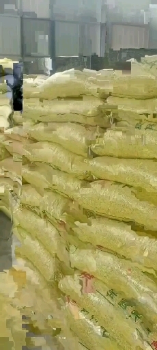 永清县黄大豆