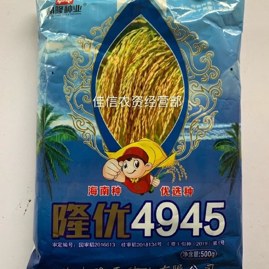 华容县隆平种业【国审稻】隆优4945杂交双季晚稻水稻种子 海南种