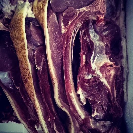 土豬肉  放養(yǎng)農(nóng)家 藏香豬肉 山豬肉 可定排骨 五花前后腿