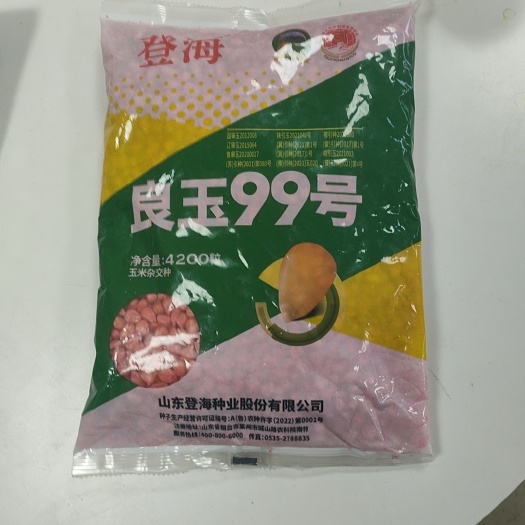 内黄县登海良玉99    1