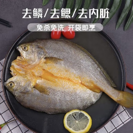 开背黄鱼黄花鱼黄鱼鲞黄花鱼新鲜冷冻三去大黄鱼真空包装