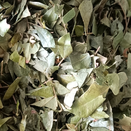 灵山县猴耳环