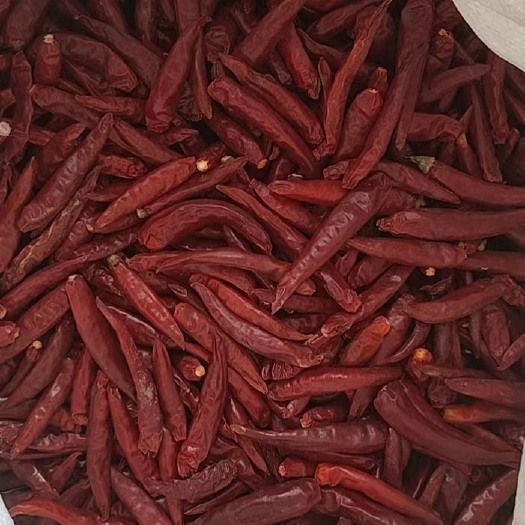 滦南县颜色正，质量好