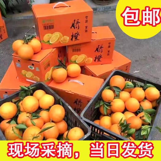 龙山县里耶脐橙橙子新鲜水果现摘发货量大价格可谈