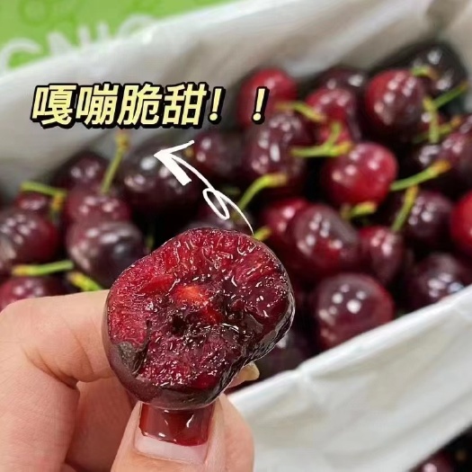 广州新西兰新鲜亚尼士车厘子•3J现货Chelan品种4斤