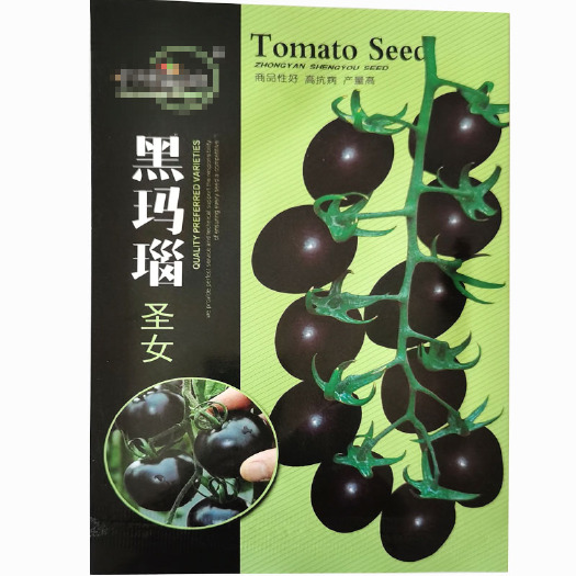 黑番茄种子 早熟黑玛瑙 小番茄 黑樱桃 圣女果四季种植
