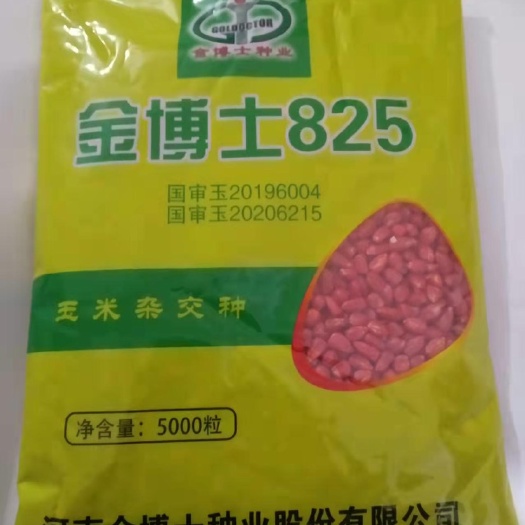 郑州金博士825玉米种子  金博士825 假一赔十 现货