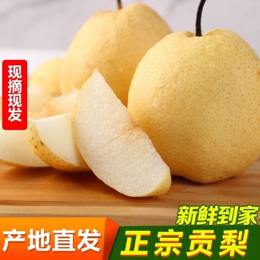 湘潭县山西应季贡梨酥梨冰糖雪梨薄皮非皇冠梨贡梨批发10斤