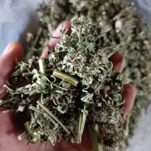 大石桥市益母草干品，荒地里采收的