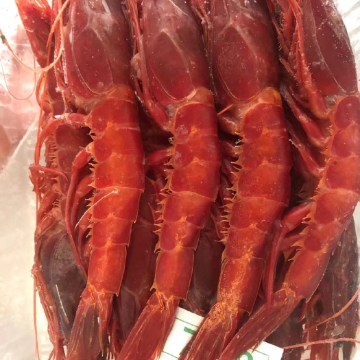 北海刺身级红魔虾