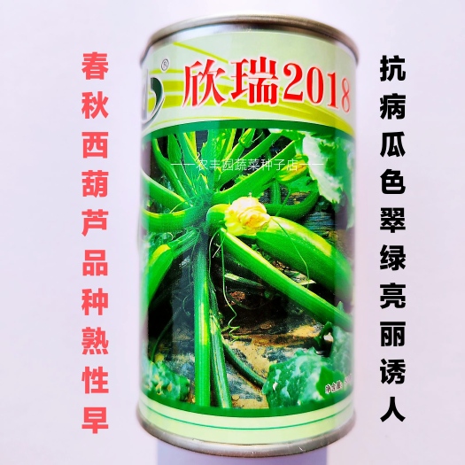 西葫芦种子欣瑞2018西葫芦种子春秋两用抗病瓜色翠绿亮耐诱人