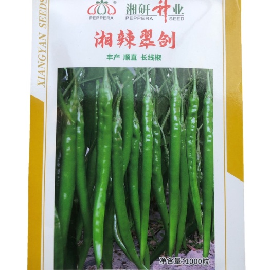 英德市线椒种子湘研湘辣翠剑正品
