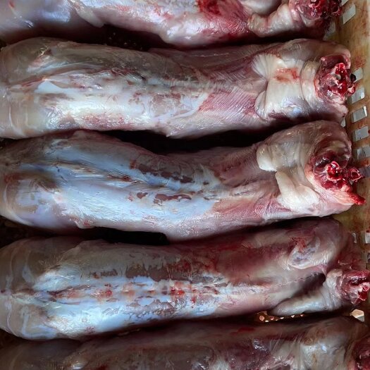 盐城兔肉类  供应现杀放血的生鲜冷冻兔肉，1.8斤一2。5斤左右