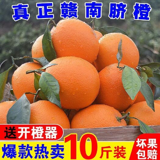 【精品】赣南脐橙新鲜橙子江西甜橙水果冰糖果冻香橙包邮