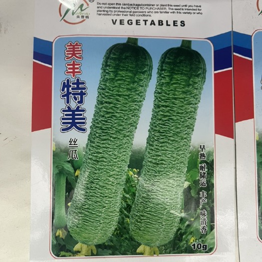 特美早熟浅皱皮丝瓜