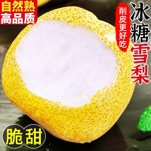 10斤新鲜酥梨冰糖雪梨水果梨子鸭梨砀山梨应季批发整箱