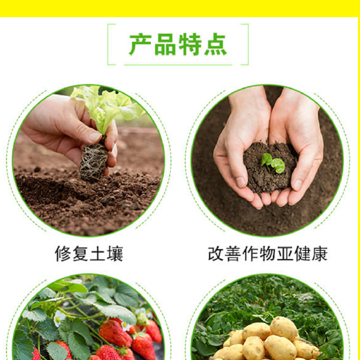 济宁博为根力四射