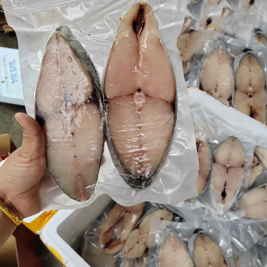 海口海南琼海潭门马鲛鱼，扁鲛，深海康氏马鲛鱼5斤礼盒装