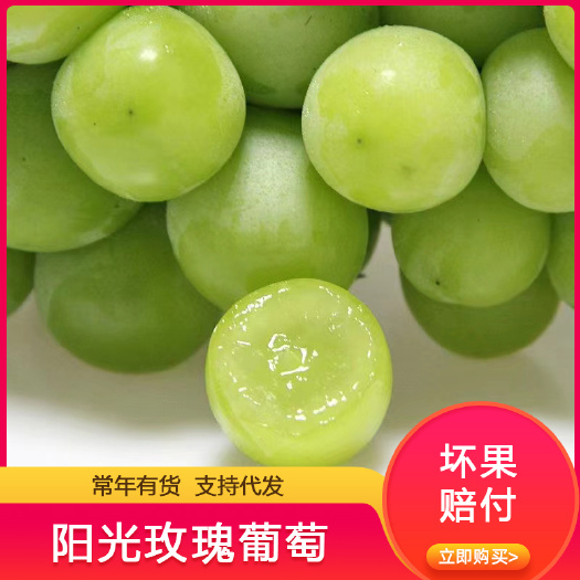 建水县阳光玫瑰葡萄晴王葡萄坏果赔付新鲜孕妇水果相印青提子无籽甜葡萄
