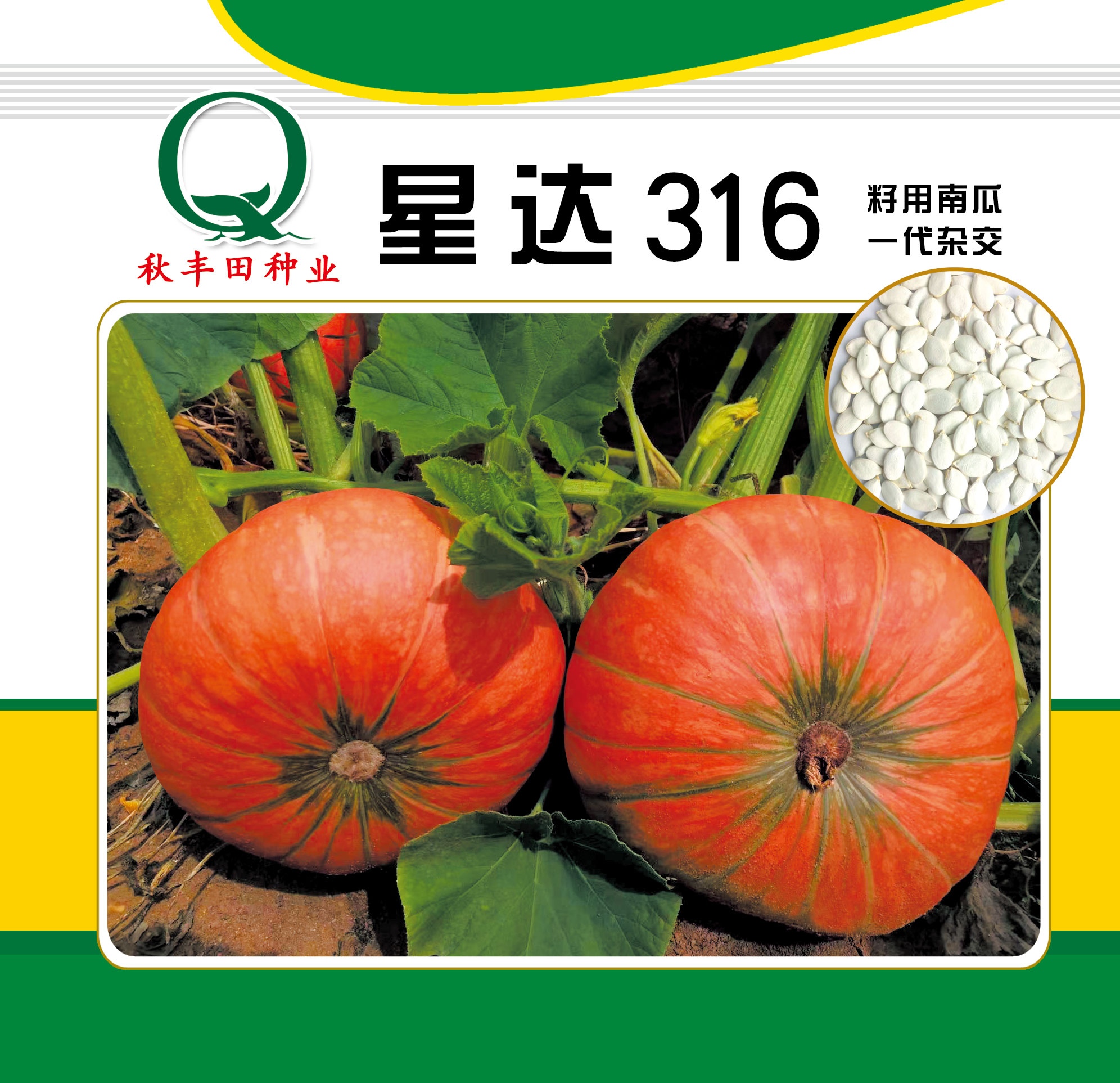 Ǵ316   ƬƷ