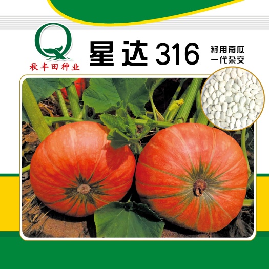 专业种业公司，长期可合作星达316   大白片新品种，南瓜种