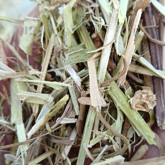 扶沟县纯绿花生秧中草、中小草、小草、风选叶粉，无土、无膜、无霉味！