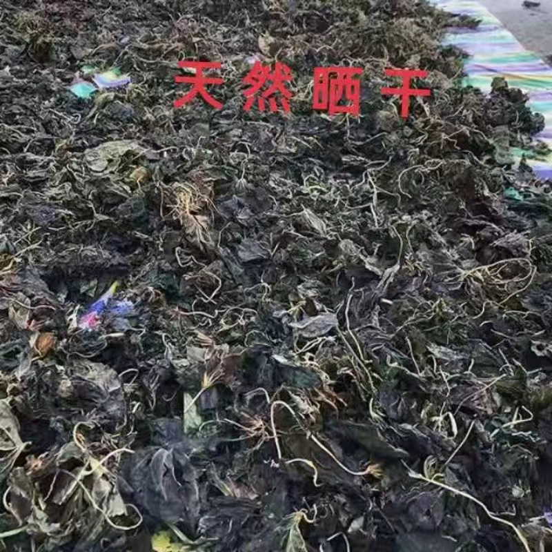 地瓜叶干，干地瓜叶，干红薯叶干