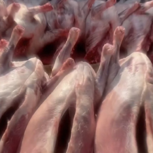 新乡羊肉