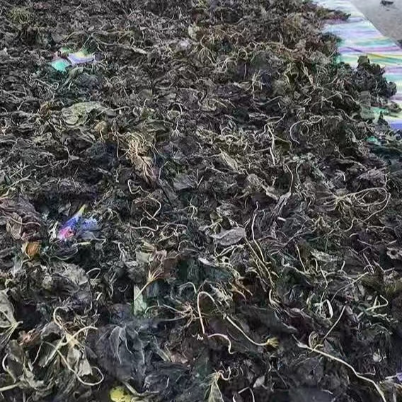 地瓜叶干，干地瓜叶，干红薯叶干