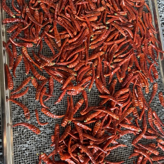 芒市辣度比较高，颜色也比较好。