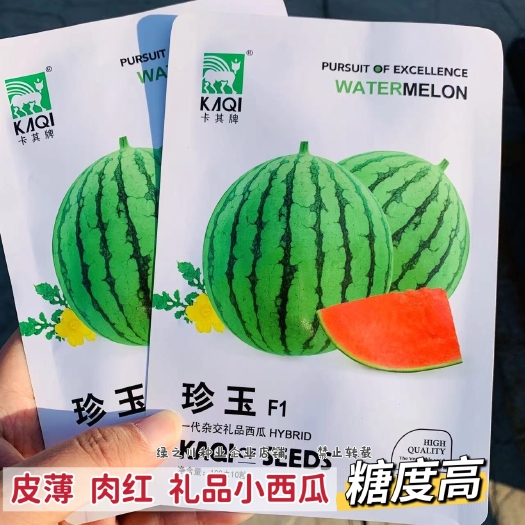 沭阳县珍玉礼品西瓜种子迷你小圆瓜超甜高糖绿皮红瓤多汁小西瓜种籽早熟