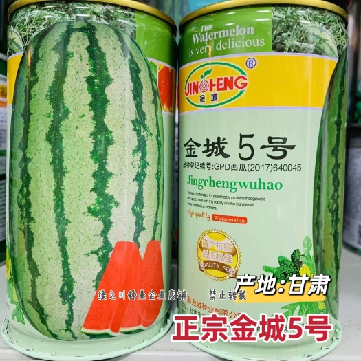 沭阳县正品甘肃金城五号西瓜种子 抗病露地硒砂瓜种金城5号西瓜种子