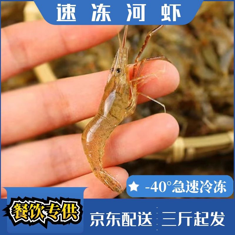 兴化市兴化淡水河虾青虾冰鲜速冻虾规格齐全2-8公分大中小虾原产地直