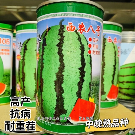 西农八号西瓜种子 大果红瓤耐重茬西农8号花皮西瓜种籽 抗裂