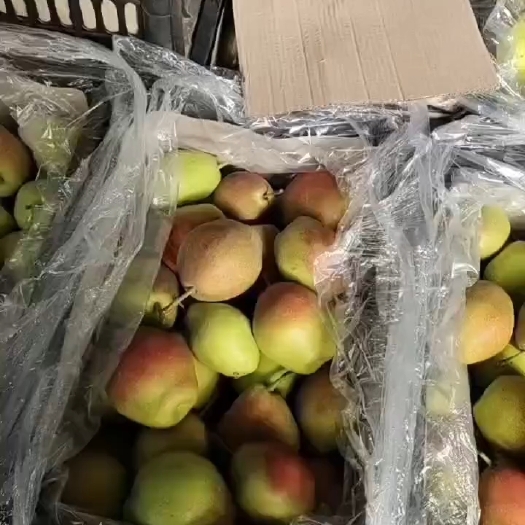 临猗县红香酥皮薄脆甜