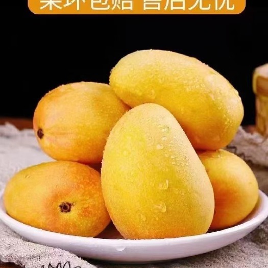东方市台农芒