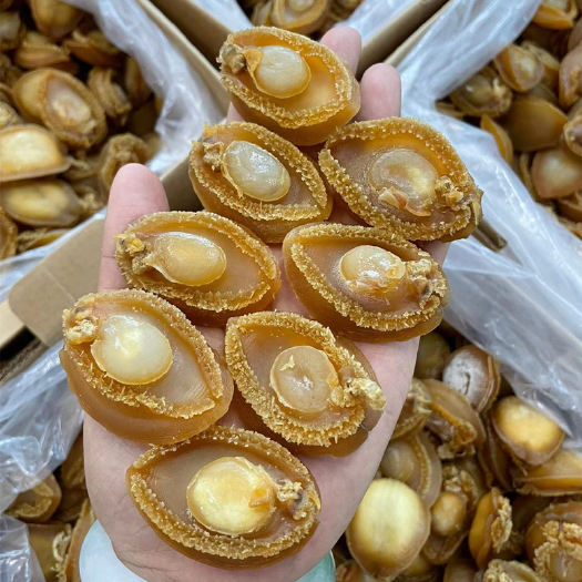 广州鲍鱼干一斤大连干海鲜海产品干货批发佛跳墙原料足干