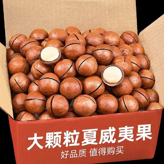 乌鲁木齐夏威夷果 坚果，干果，欢迎品尝。