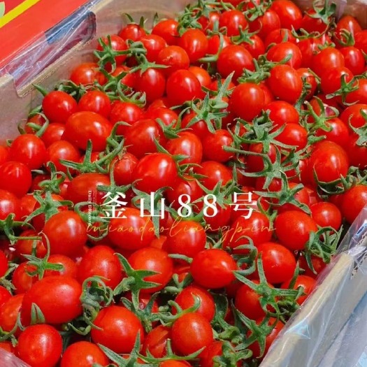 石家庄际华农业