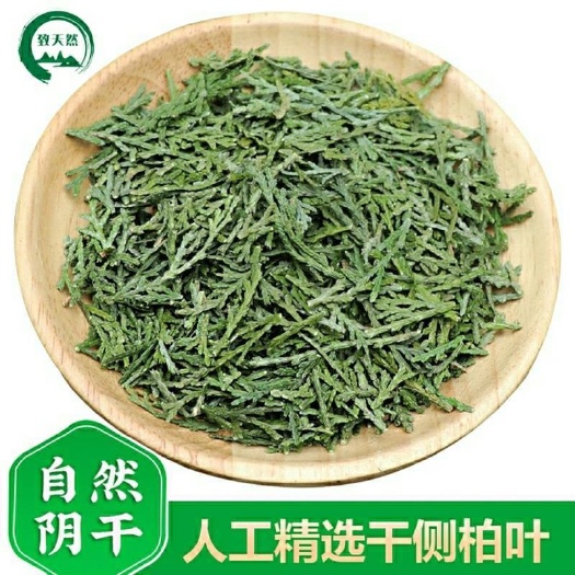 中药材侧柏叶 天然干侧柏叶 柏树叶