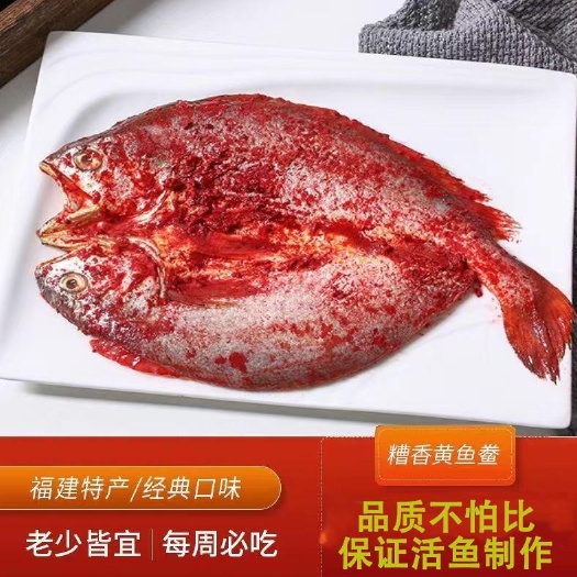 霞浦县海肴膳酒糟鱼 霞浦大黄鱼宁德大黄鱼 酒糟大黄鱼 霞浦海鲜批发