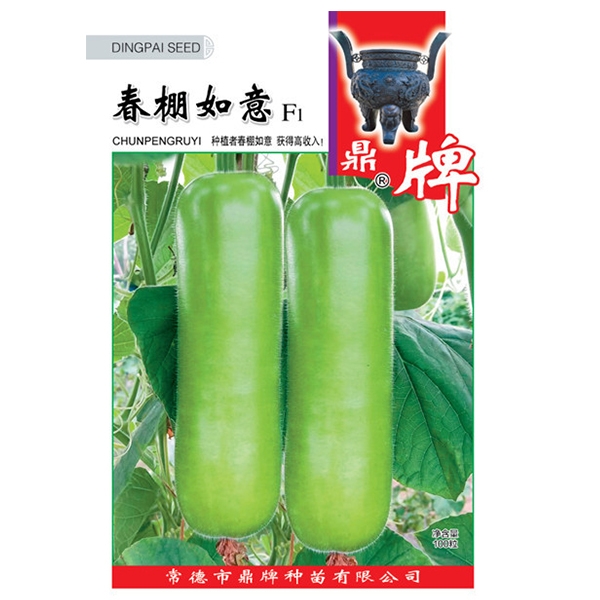 夏邑县春棚如意瓠瓜种子，极早熟，耐低温，细腻柔软，清香味甜